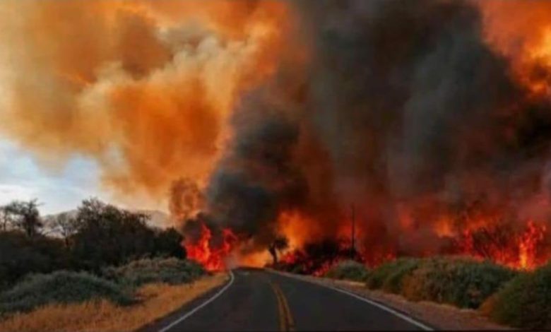 LOS INCENDIOS FORESTALES EN CAFAYATE: UNA TRAGEDIA AMBIENTAL QUE NOS INTERPELA COMO SOCIEDAD